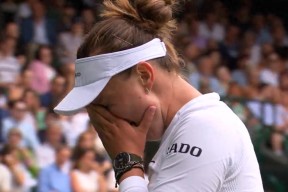 南宫28-包含科维托娃遭遇十连败，切尔西教练面临压力！的词条